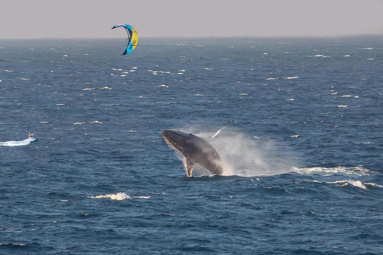 Kitesurf Tofo House - 1 Minute Walk From Beach And Center Buitenkant foto